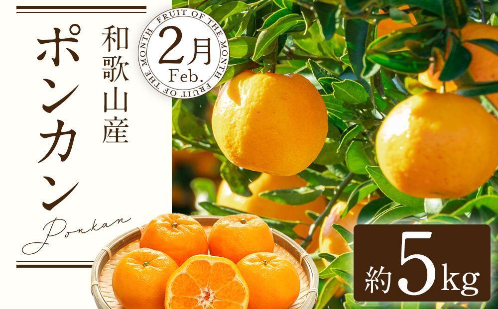 定期便全3回 【2月・3月・4月発送】 和歌山の春のフルーツ （ポンカン・清見オレンジ・まりひめ）【TM174】