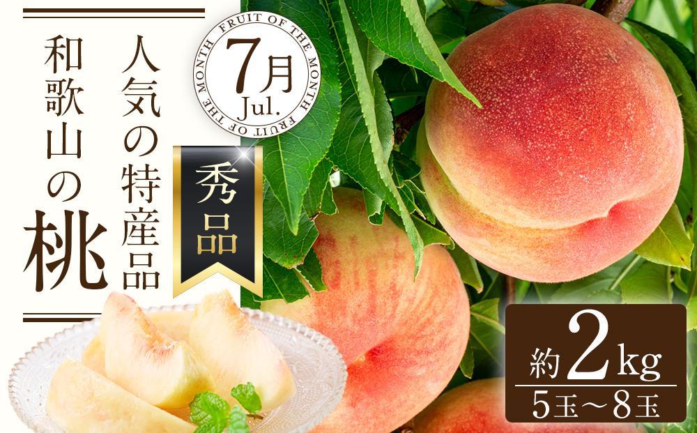 定期便全3回 【7月・8月・9月発送】 和歌山のフルーツをお届け（桃・たねなしピオーネ・シャインマスカット）【TM180】