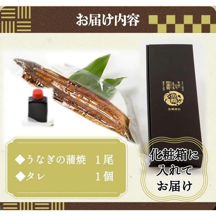 大型サイズ 　ふっくら柔らか国産うなぎ蒲焼き　1尾（約2人前）化粧箱入