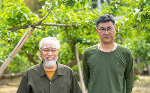 ［梅干・梅酒用］（2LまたはL－10Kg）熟南高梅＜2026年6月上旬～7月7日発送予定＞フルーツ 果物 くだもの 食品 人気 おすすめ 送料無料［ART03］