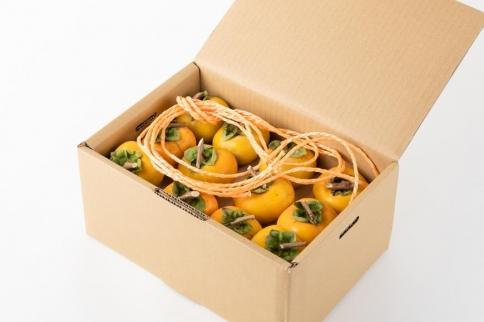 吊るし柿用たね無渋柿T軸又はクリップ付紐付約4.5～5kg　約24～30個＜2026年10月中旬～11月上旬ごろ順次発送＞【ART13】