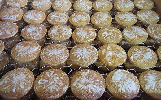 ニッキせんべい 30枚 × 2 (60枚)  缶入 お菓子 和菓子 せんべい