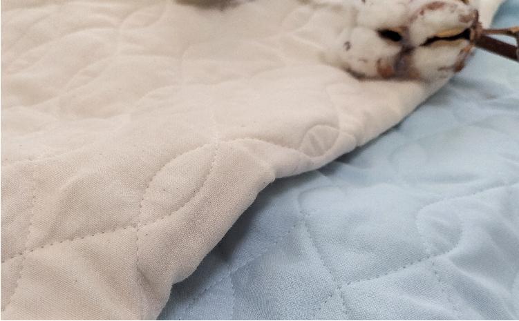 オーガニックコットンの和晒２重ガーゼ枕パッド１枚 （50×60cm）BL　OGG-5060-BL-1P