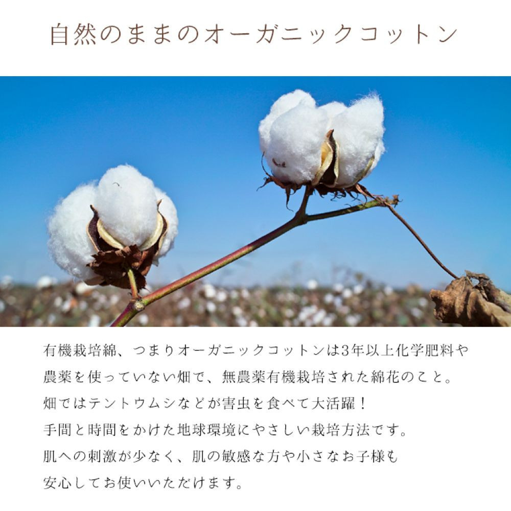 敷きパッド 紀州ネルでつくる日本製コットン敷パッド ダブル