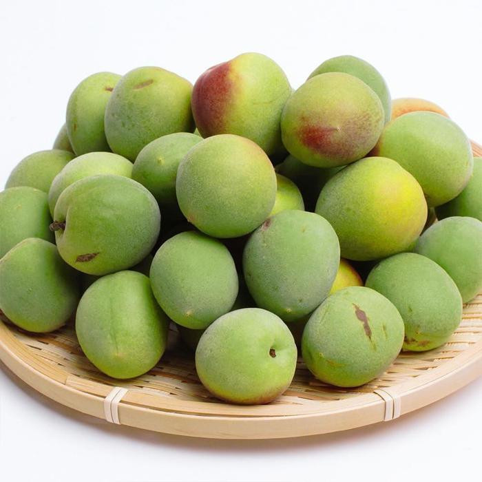 家庭用 紀州南高梅(青梅)5kg+250g（傷み補償分）【梅干し・梅ジュース】【訳あり】［IKE113］