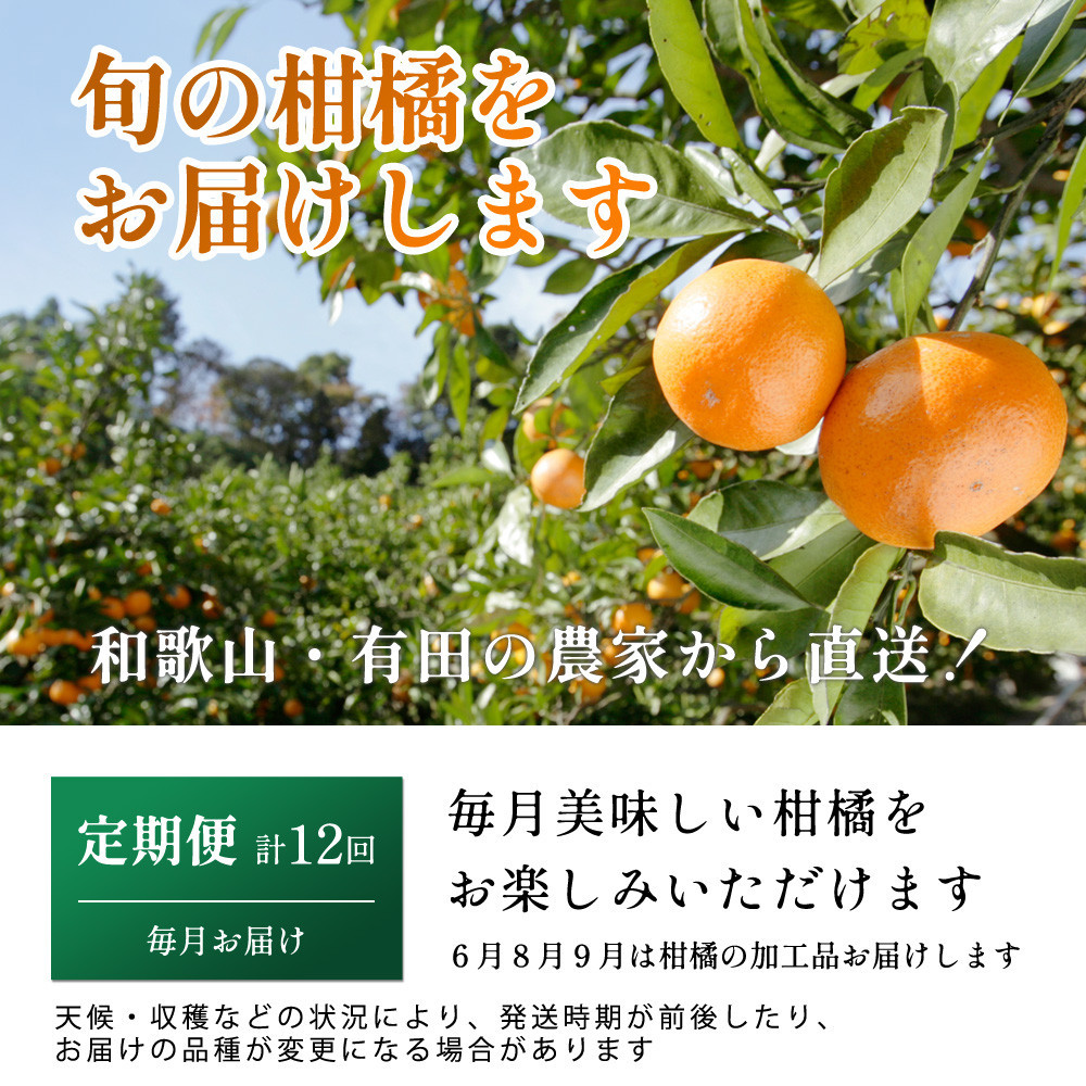 家庭用 柑橘定期便M（毎月）全12回 ［IKE307］