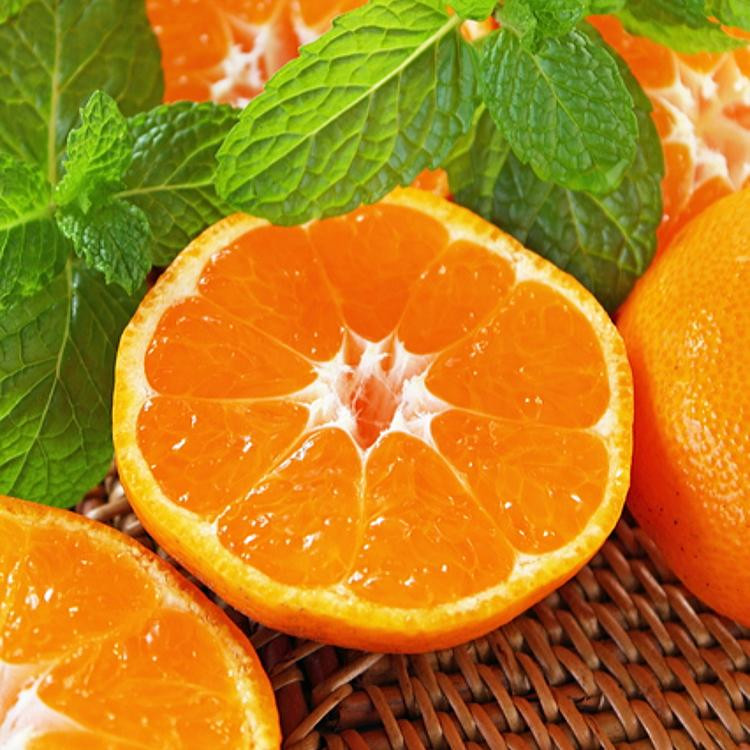 農家直送 完熟 有田みかん 2kg［先行予約 2026年12月発送 ］［MS12-2］