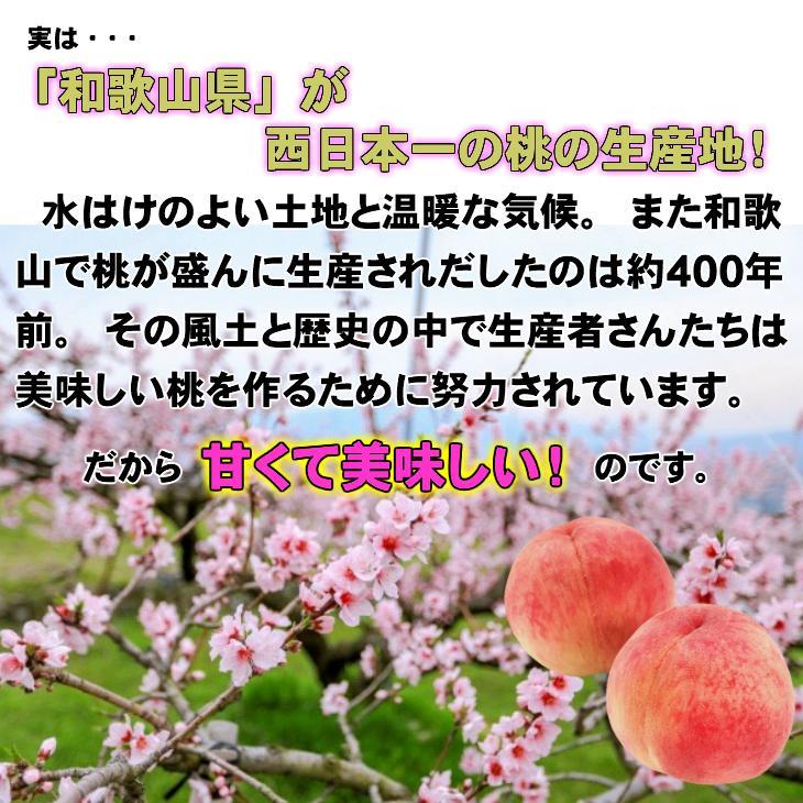 【秀品】和歌山ブランド白桃 約2kg！ ギフト 贈答品にも! 2026年6月発送分