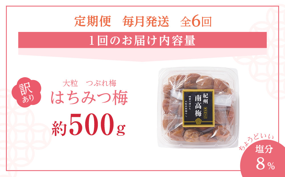 訳あり 梅干し 大粒 大玉 つぶれ梅 はちみつ梅 約500g × 6回 塩分8％ [ 定期便 毎月発送・全6回 ]