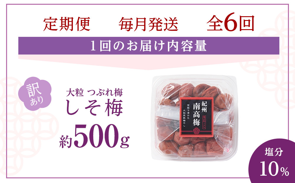 訳あり 梅干し 大粒 大玉 つぶれ梅 しそ梅 約500g × 6回 塩分10％ [ 定期便 毎月発送・全6回 ]