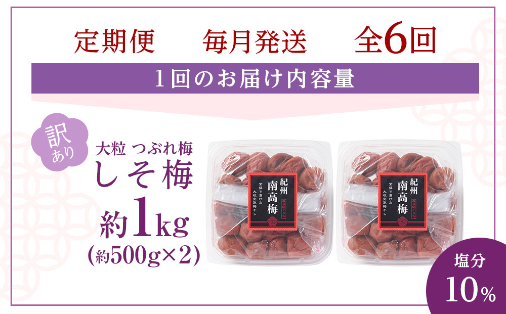 訳あり 梅干し 大粒 大玉 つぶれ梅 しそ梅 約1kg (500g×2)  × 6回 塩分10% [ 定期便 毎月発送・全6回 ]