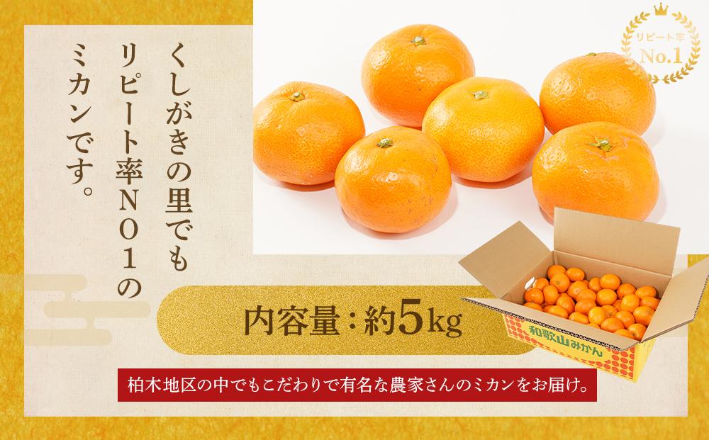 ［先行予約］［2026年11月初旬から11月末頃順次発送］ 和歌山県産温州みかん 約5kg（40個～60個）秀品 こだわり農家厳選！［KG31］