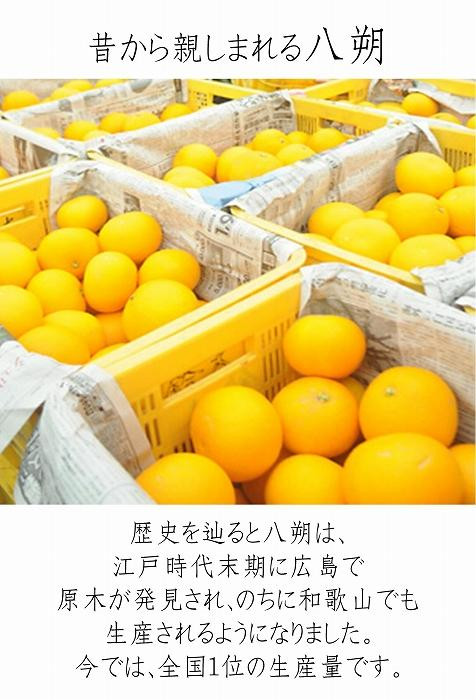 八朔 はっさく 訳あり 約6kg｜和歌山県和歌山市産 ご家庭用 柑橘フルーツ【2026年先行予約】甘酸っぱくて爽やか！見た目は訳ありでも味は絶品！3月下旬～４月下旬頃出荷予定（サイズ不選別）［Mg20］