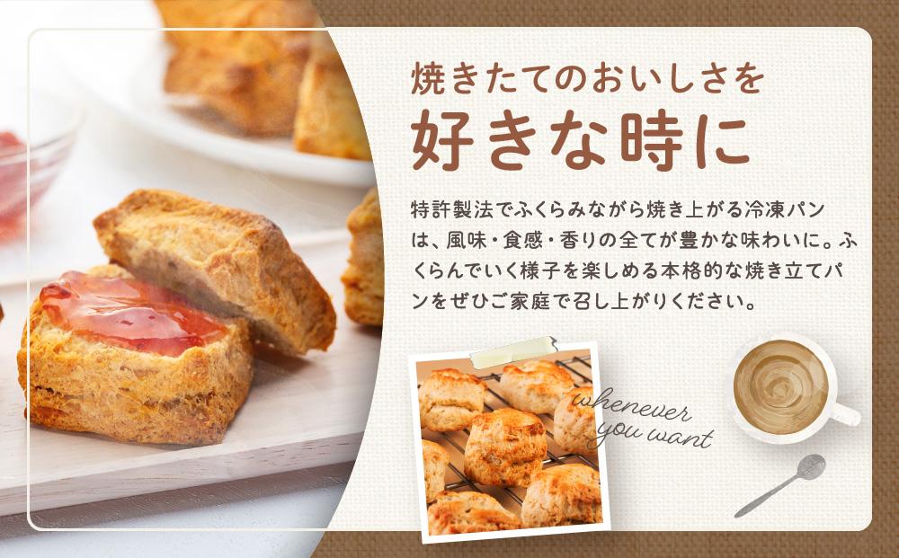 ピノキオの冷凍パン生地12個セット （全粒粉スコーン）