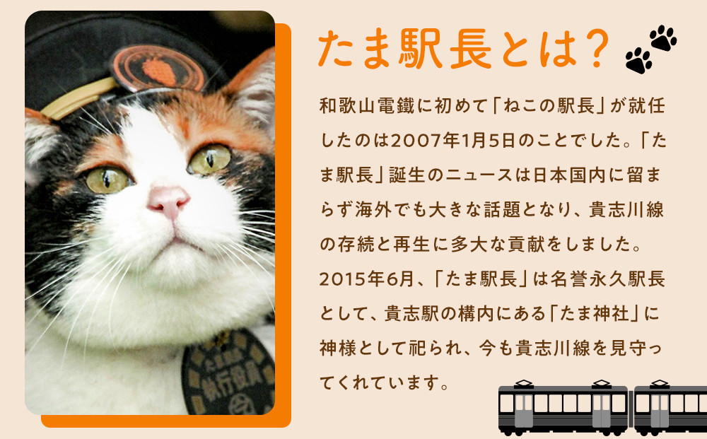 たま駅長Tシャツ＜S＞・たまニタマクリアファイルセット