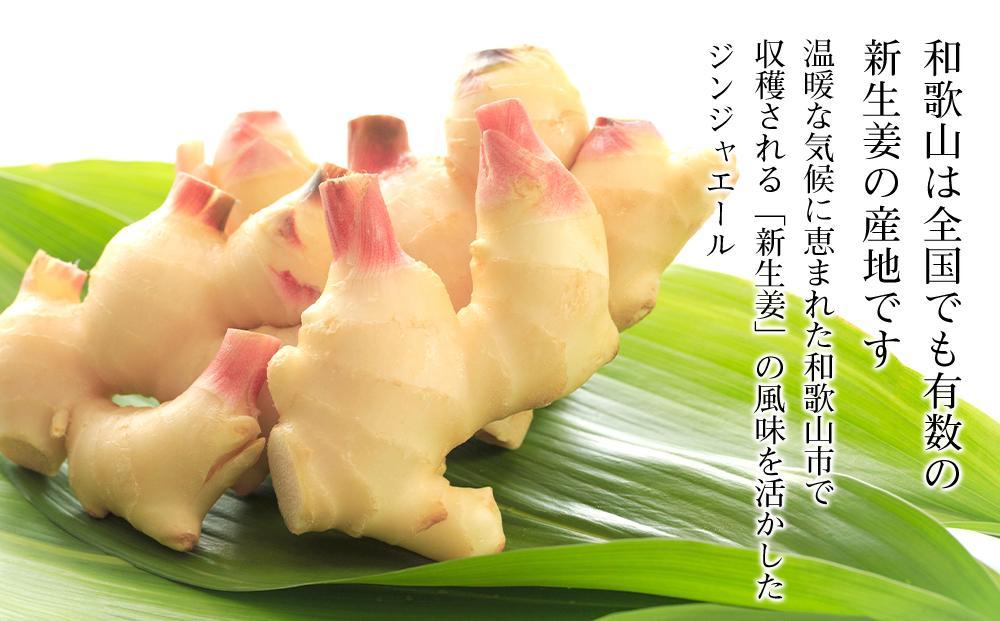 生姜丸しぼりジンジャーエール12本セット