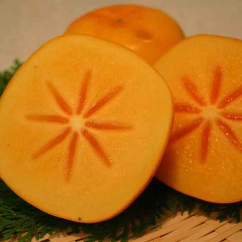 和歌山産 たねなし柿 10kg (5kg×2箱)