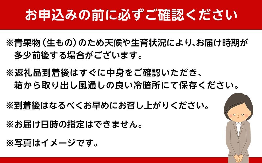 和歌山産 みかん 10kg 【ご自宅用・サイズ不揃い・キズ等あり】【ヤマタ大谷商店】