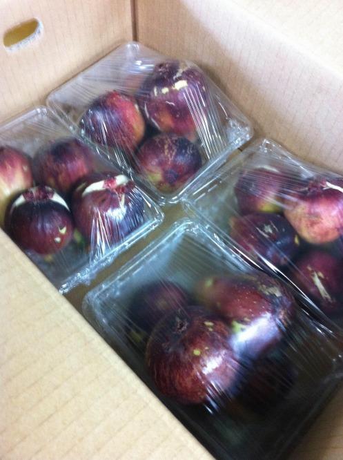 和歌山産 いちじく ご自宅用(サイズ不揃い、傷あり) 1.6kg(400g×4パック)