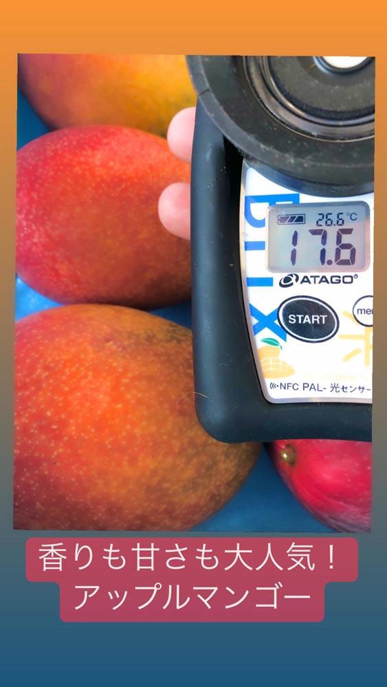 ★2025年発送分★紀州完熟マンゴー『吉玉』【ご家庭用訳ありマンゴー1kg】