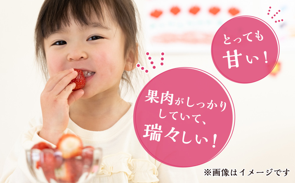 まりひめ6パック【2026年3月～4月発送分】