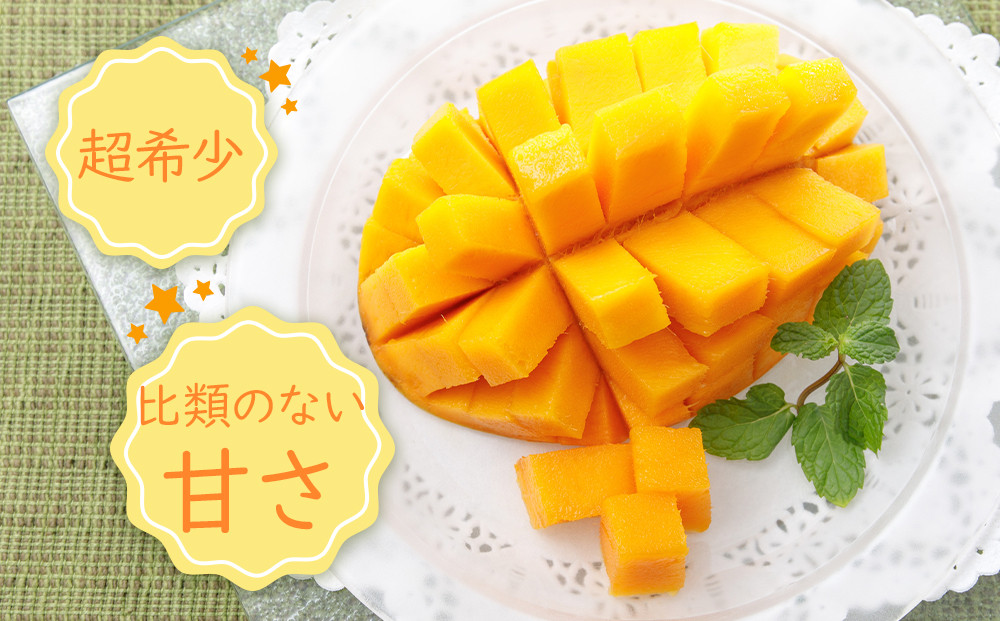 超希少なマンゴー【キーツ】 約1kg 和歌山市（2025年9～10月発送分）