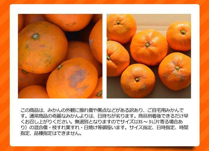 ［先行予約］訳ありみかん 約5kg（箱込み）　和歌山県産