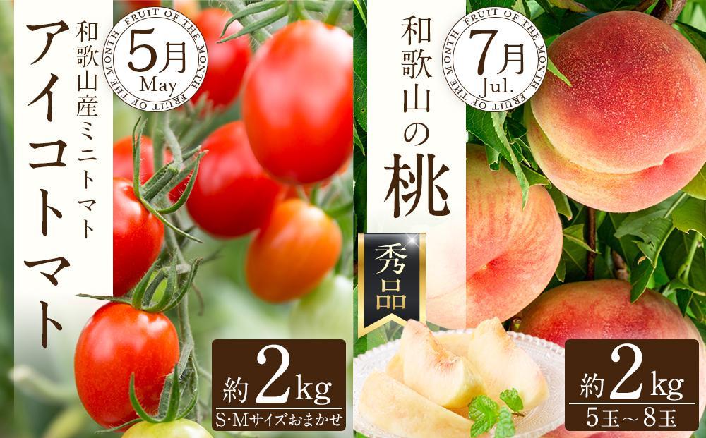 和歌山の旬の果実を 奇数月にお届け全6回定期便（キウイ・清見オレンジ・ミニトマト・桃・ピオーネ・富有柿）【TM62】