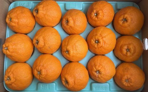 和歌山県産不知火約5kg（12玉～20玉おまかせ）2L～5Lサイズ★2026年2月下旬頃より順次発送［TM131］