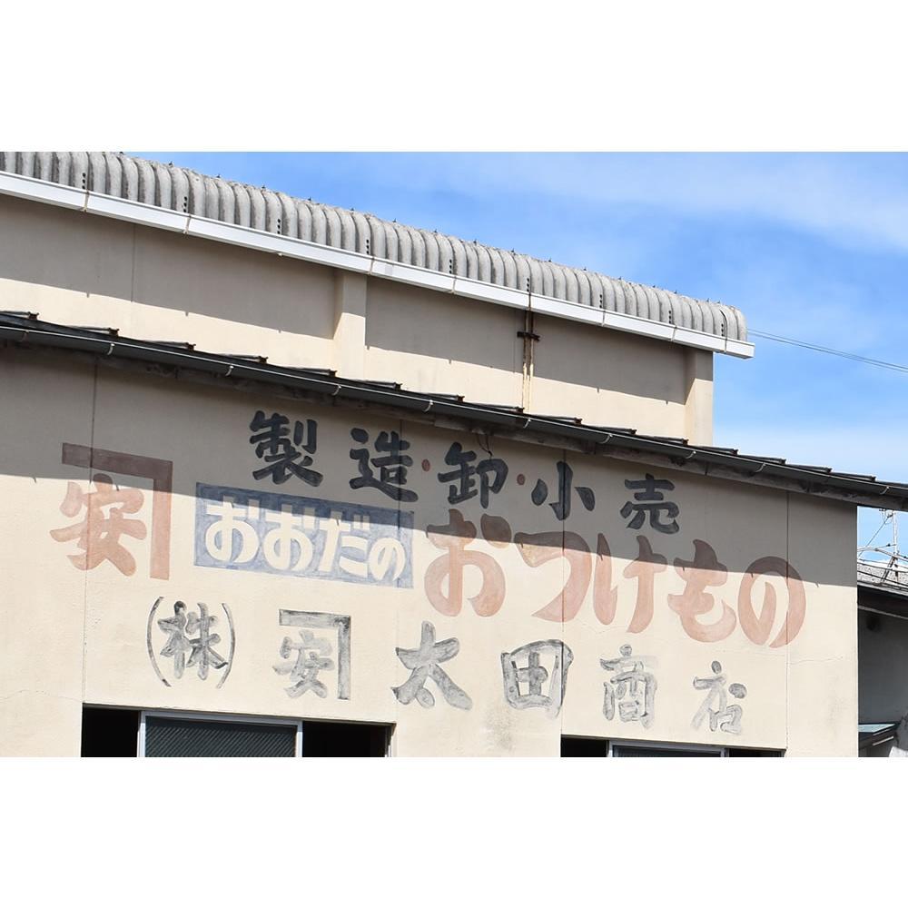 おおた商店 めはり高菜漬け 180g 8袋入