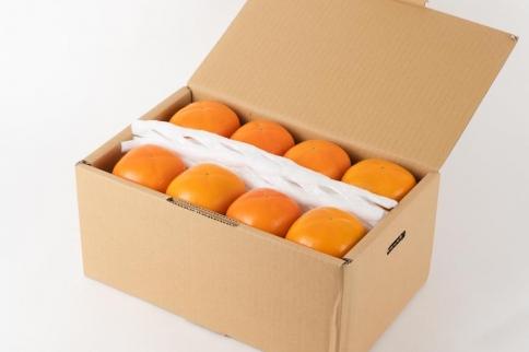 吊るし柿用たね無渋柿T軸又はクリップ付紐付約4.5～5kg　約24～30個＜2026年10月中旬～11月上旬ごろ順次発送＞【ART13】