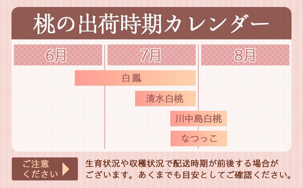 和歌山県産 桃 秀品 9～12玉 約3kg［NY8w］