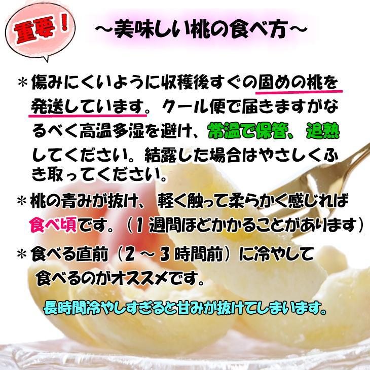 【秀品】和歌山ブランド白桃 約2kg！ ギフト 贈答品にも! 2026年6月発送分