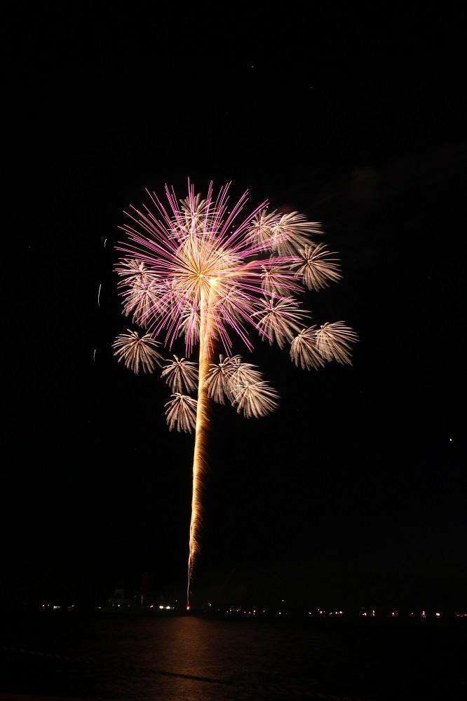 令和6年度 第72回 港まつり花火大会  個人協賛エリア 招待券（リストバンド） 大人1名分