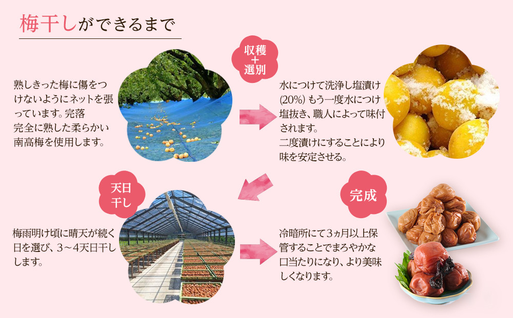 訳あり 梅干し 大粒 大玉 つぶれ梅 しそ梅 約1kg (500g×2)  × 6回 塩分10% [ 定期便 2か月に１回発送・全6回 ]