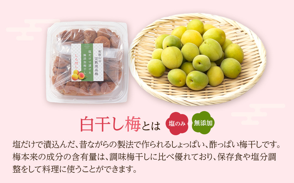 梅干し しらぼし梅  約800g（約400g×2） 塩のみ 無添加 大粒 紀州南高梅 塩分約15％ 和歌山県産
