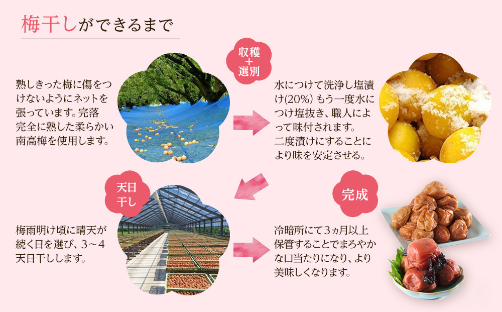 無選別 和歌山の完熟南高梅 味が染み込んだ梅干し はちみつ味 500g 塩分10％