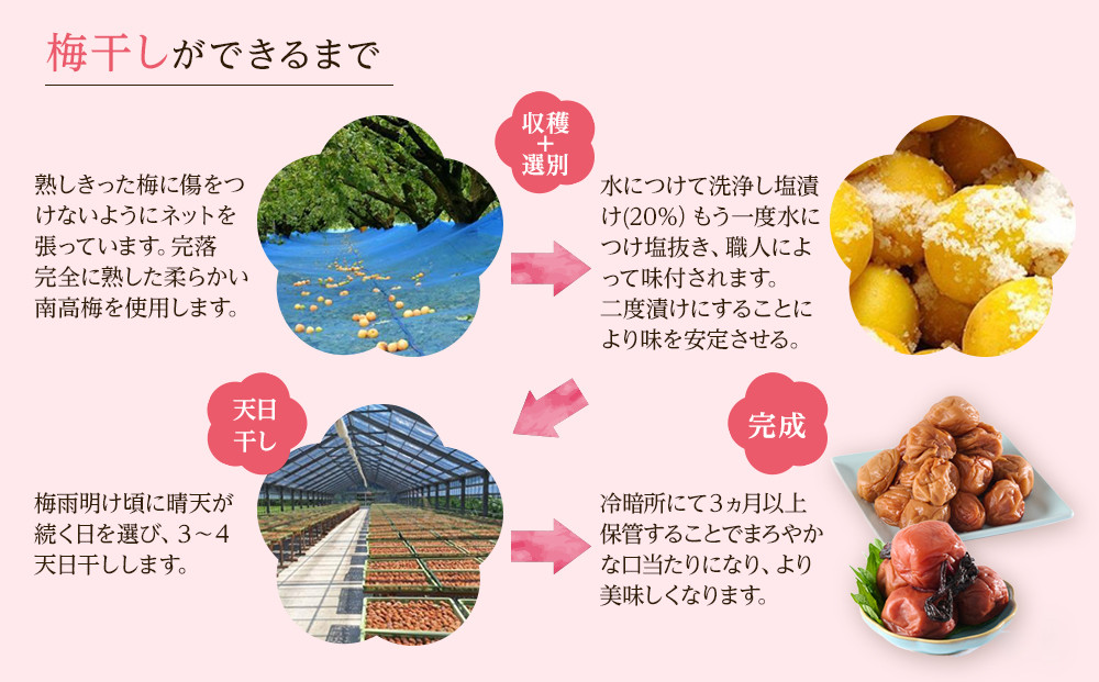 紀州南高梅 紫蘇梅 350g×2 塩分15％ [定期便 毎月発送・全12回]