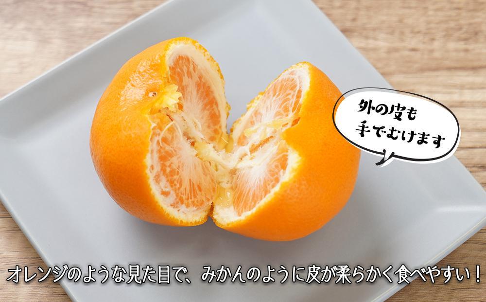 はれひめ（ミカンの希少種） 秀品  約5ｋｇ（25個～30個入）［先行予約］［2026年12月中旬頃から発送］［KG3］