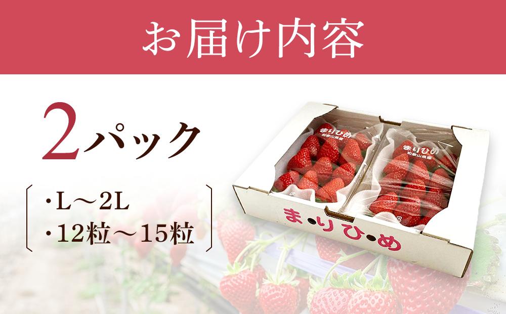 まりひめイチゴ L～２L 12粒～15粒×2パック［2026年1月中旬から発送］［先行販売］［KG7］