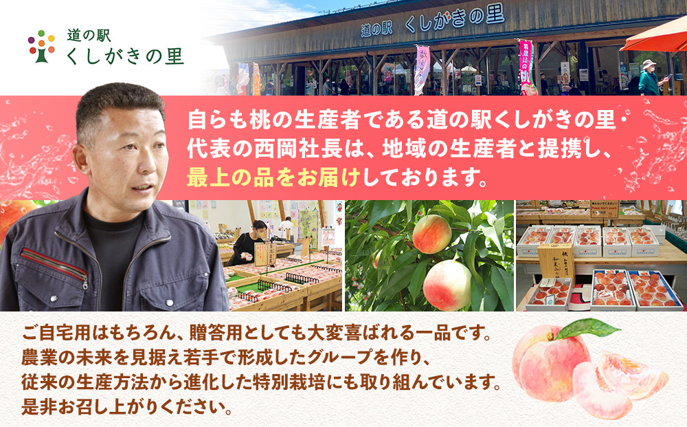 先行販売！［モモ］ 白鳳　桃の王様！約2kg6～8個 ［2026年6月下旬頃より順次発送］［秀品］こだわり農家厳選 ［KG12］