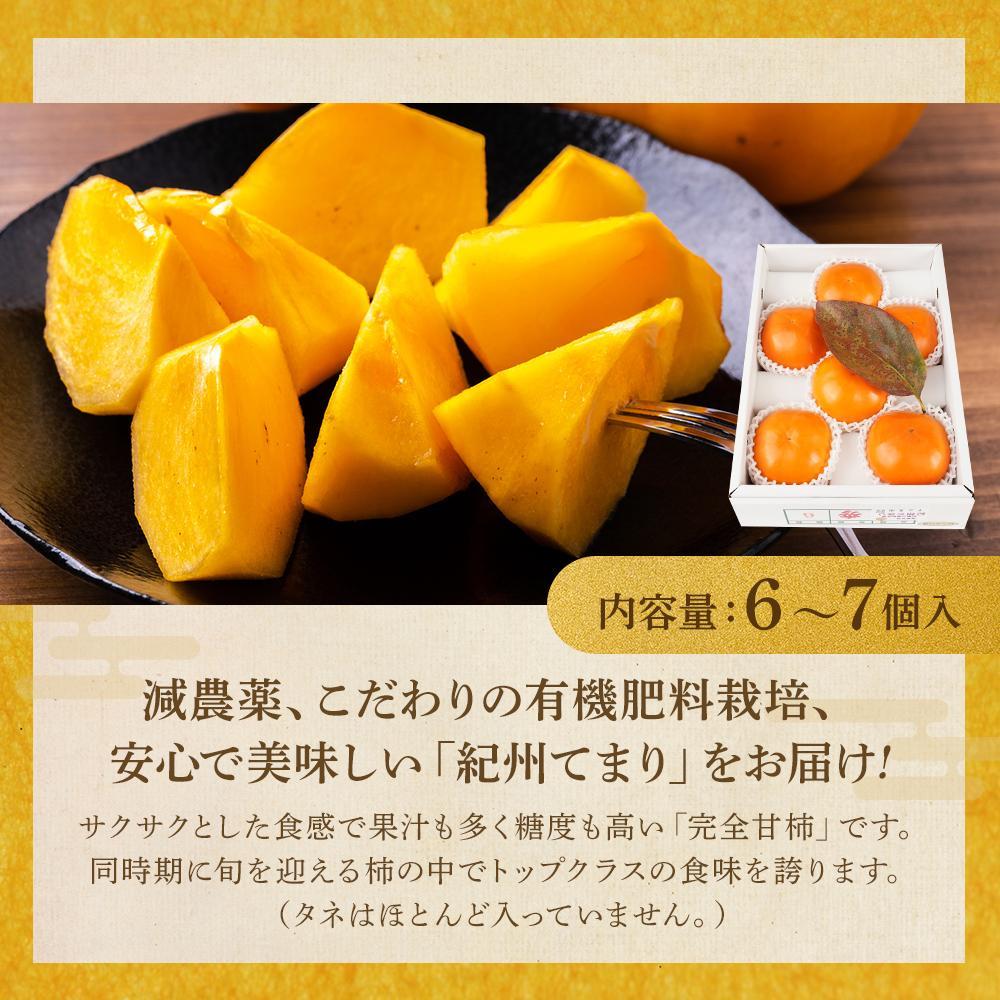 紀州てまり（和歌山県ブランド柿）6～7個入 こだわり農家厳選 先行予約 ［2026年9月末から10月末頃順次発送］［KG27］