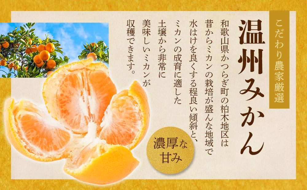 ［先行予約］［2026年11月初旬から11月末頃順次発送］ 和歌山県産温州みかん 約5kg（40個～60個）秀品 こだわり農家厳選！［KG31］