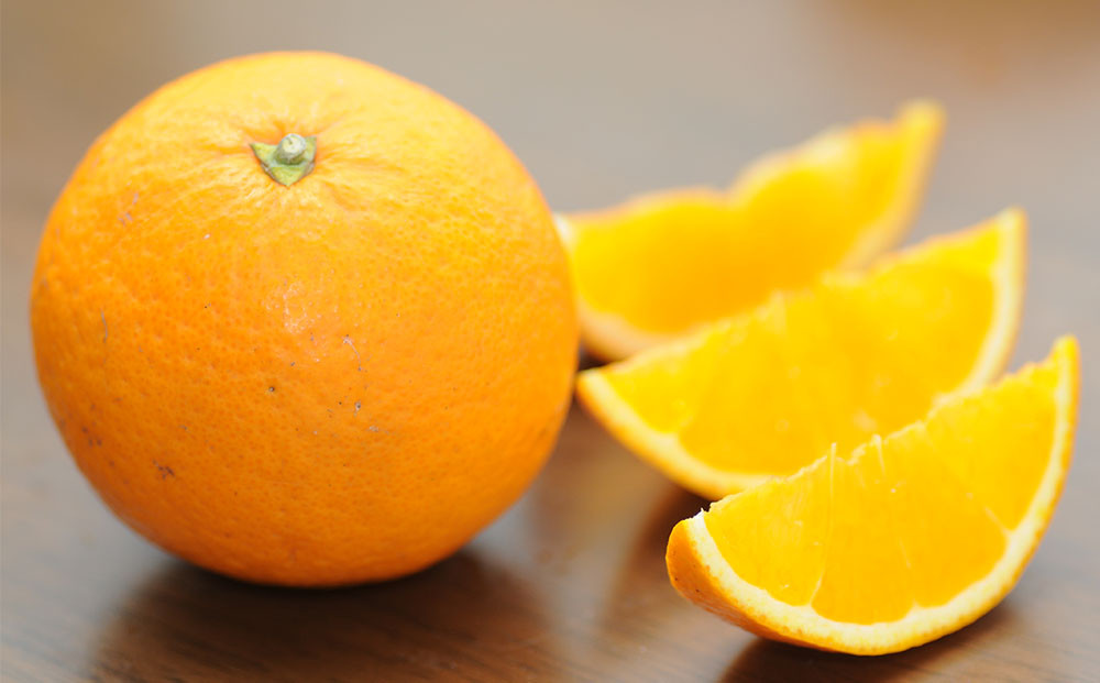 清見オレンジ 約7.5kg M・L・2L・3Lサイズおまかせ 《赤秀》 和歌山県産 農園直送 まごころ産直みかん 【北海道・沖縄県・一部離島 配送不可】みかん きよみ 清見タンゴール 清美 柑橘 贈答 ［Mg63］