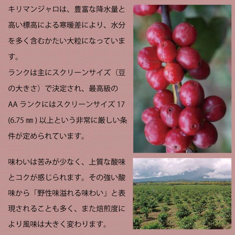 とびだす焙煎所 キリマンジャロ 200g 【豆】