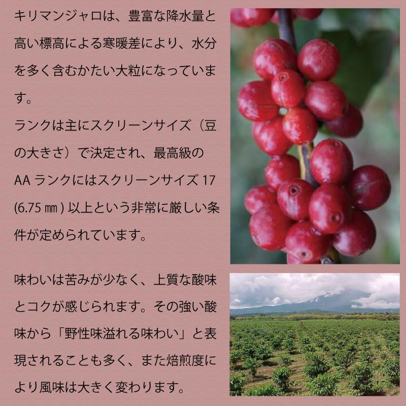 とびだす焙煎所 キリマンジャロ 500g（250g×2袋） 【粉】
