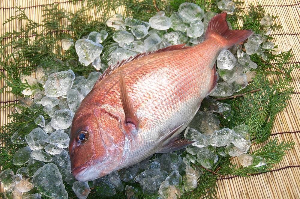和食やTakasui　　鯛かぶと煮