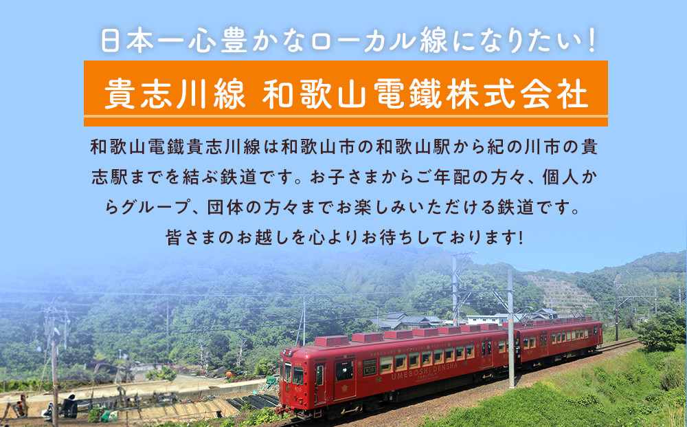 たま駅長Tシャツ＜S＞・たまニタマクリアファイルセット