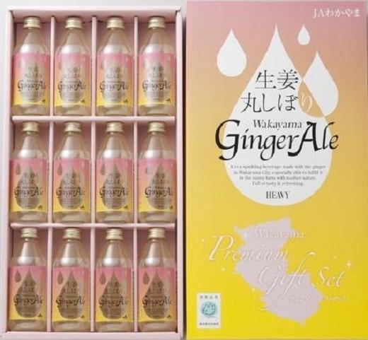 生姜丸しぼりジンジャーエール12本セット