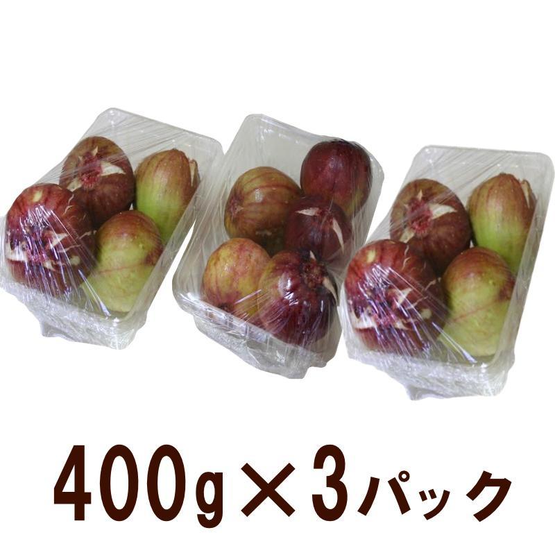 和歌山産 【訳あり】 いちじく  (サイズ不揃い、傷あり) 1.2kg(400g×3パック)